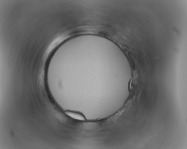 X0000113270150200910081408