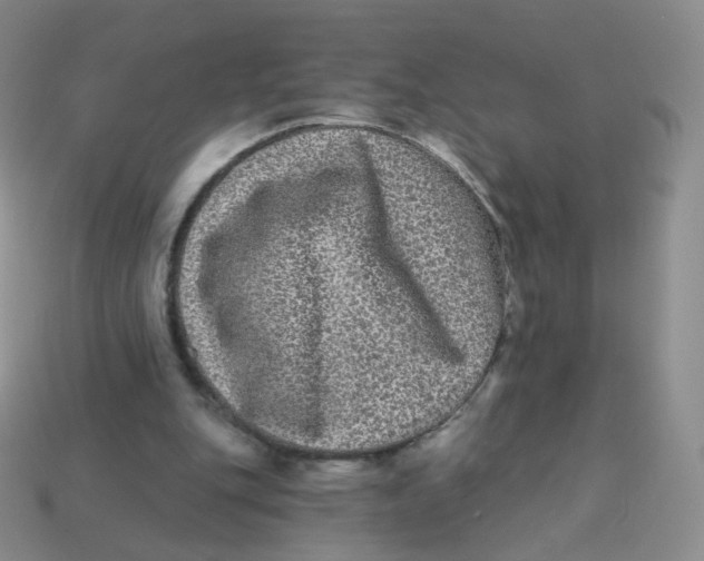 X0000113270151200910081408