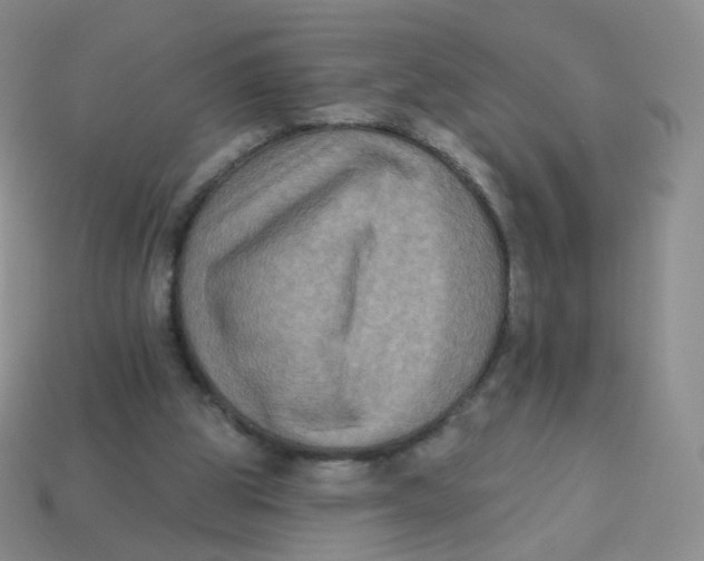 X0000113270153200910081408