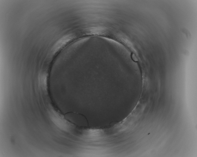 X0000113270154200910081408