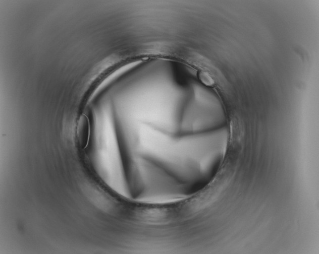 X0000113270156200910081408