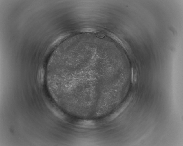 X0000113270157200910081408