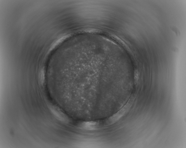 X0000113270158200910081408