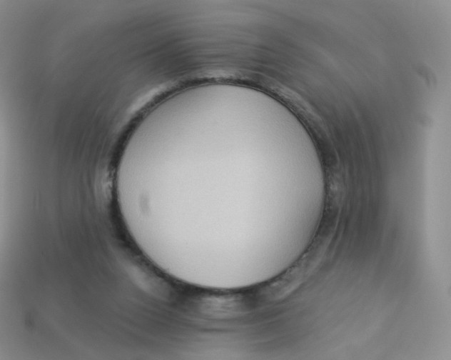 X0000113270160200910081408