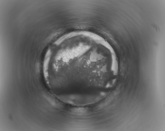 X0000113270161200910081408