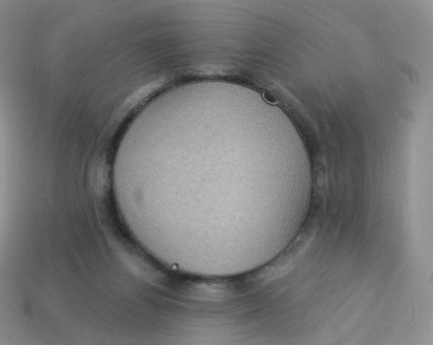 X0000113270164200910081408