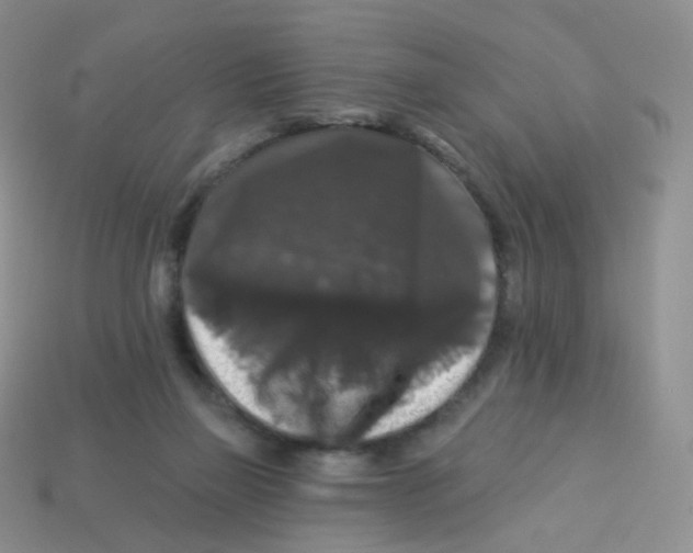 X0000113270165200910081408