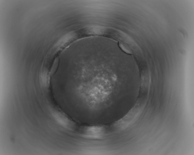 X0000113270168200910081408