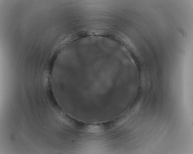 X0000113270169200910081408