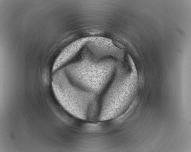 X0000113270170200910081408