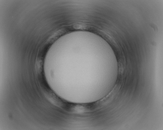 X0000113270171200910081408