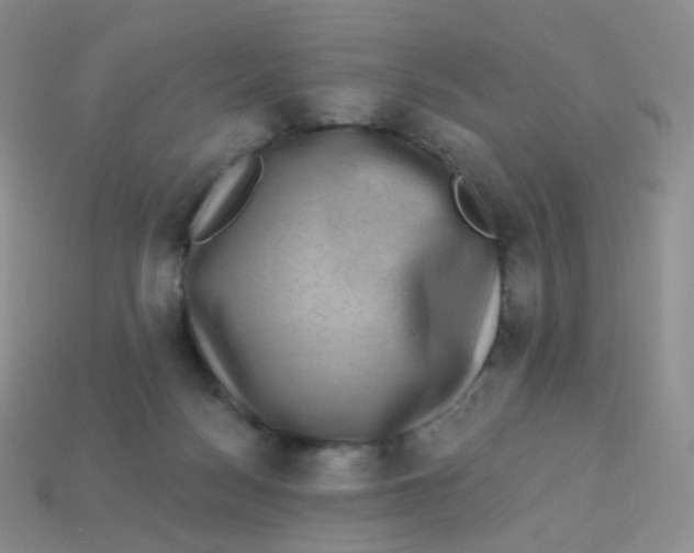 X0000113270172200910081408