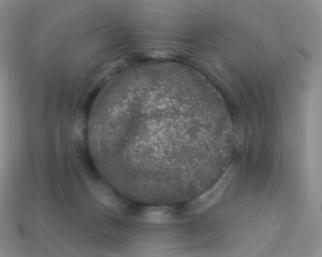 X0000113270175200910081408