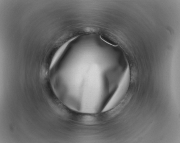 X0000113270176200910081408