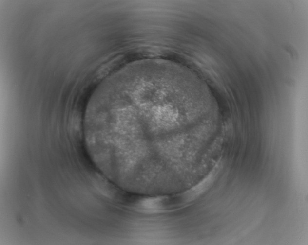 X0000113270178200910081408