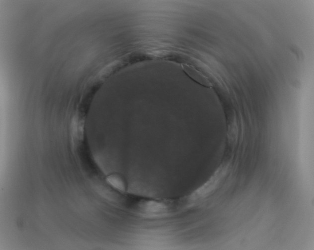 X0000113270180200910081408