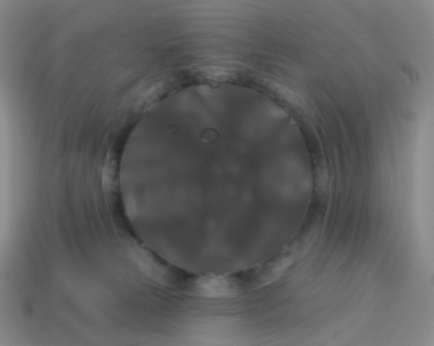 X0000113270181200910081408