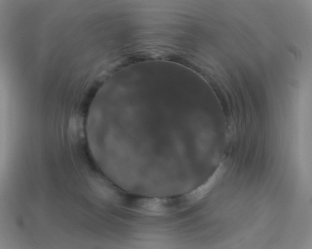 X0000113270182200910081408