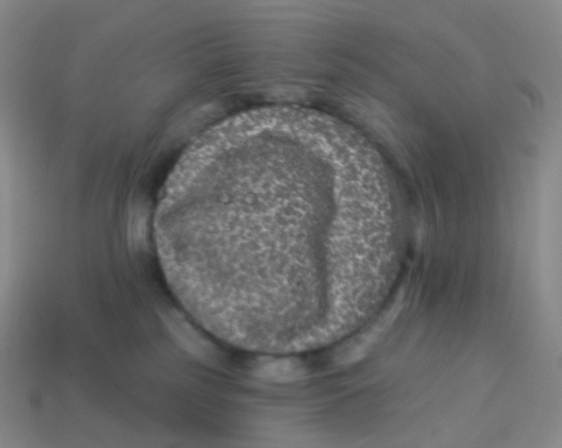 X0000113270185200910081408