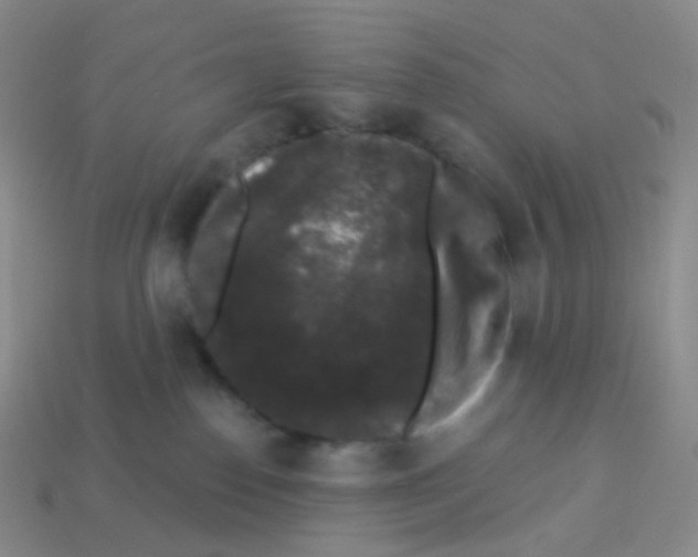 X0000113270186200910081408