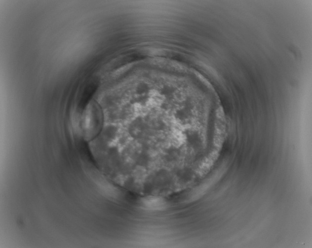 X0000113270189200910081408