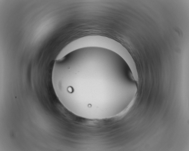 X0000113270190200910081408