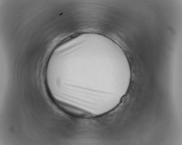 X0000113270193200910081407