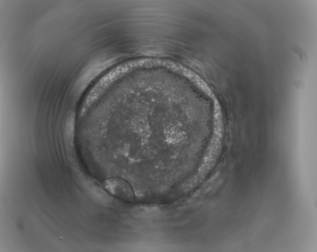 X0000113270194200910081407