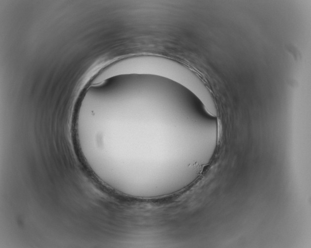 X0000113270195200910081407