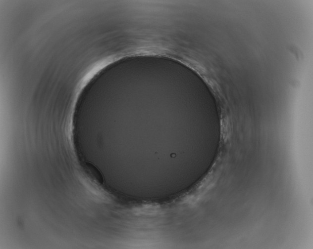 X0000113270196200910081407