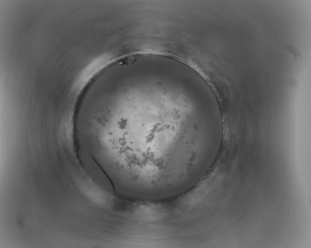 X0000113270199200910081407