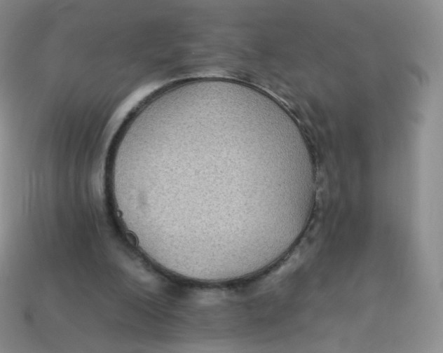 X0000113270200200910081407