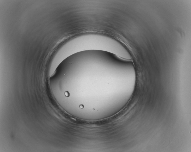 X0000113270203200910081407