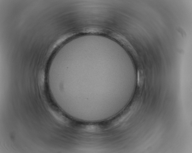 X0000113270204200910081407