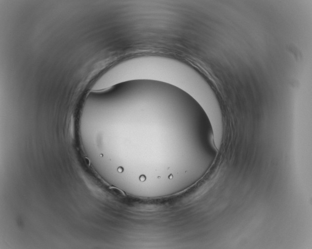 X0000113270205200910081407