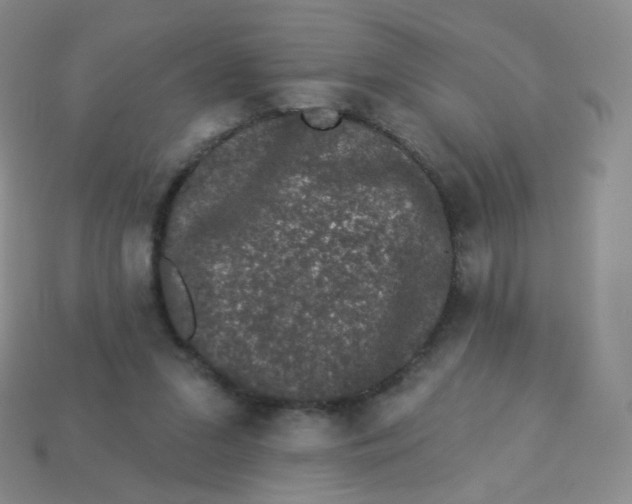 X0000113270207200910081407