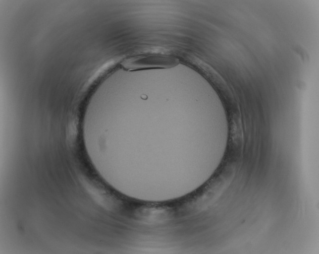 X0000113270208200910081407