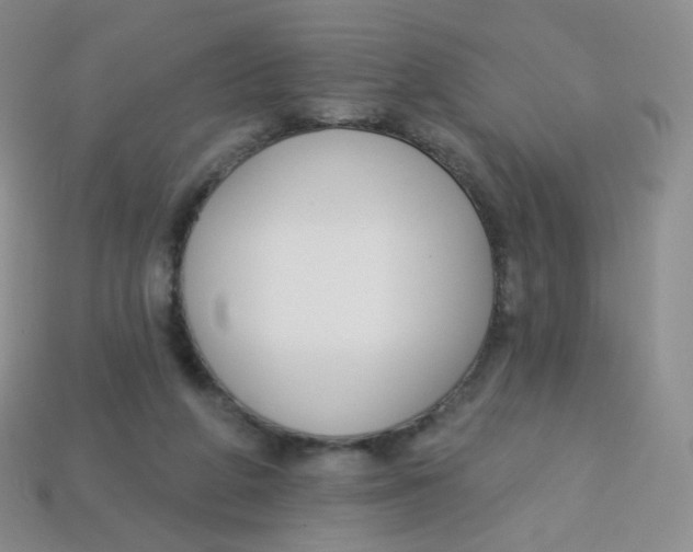 X0000113270210200910081407