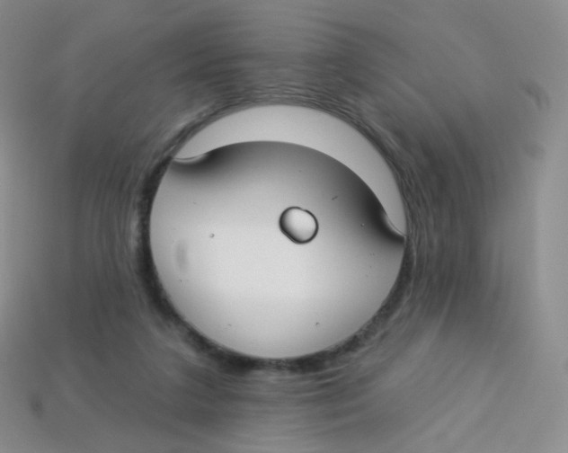 X0000113270211200910081407