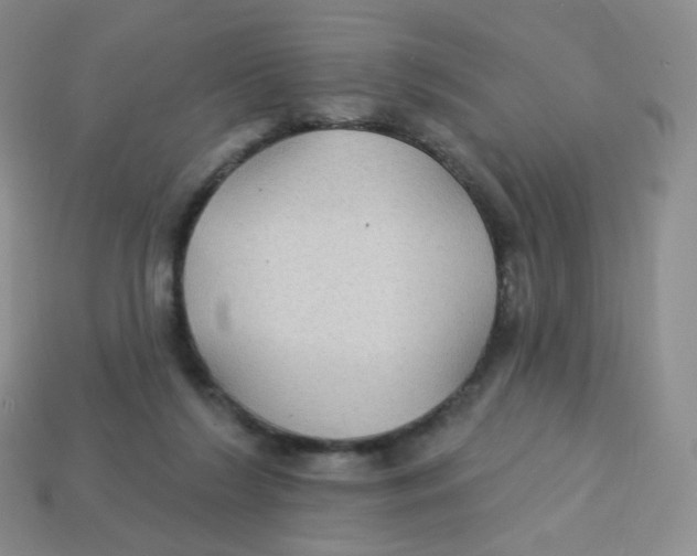 X0000113270212200910081407