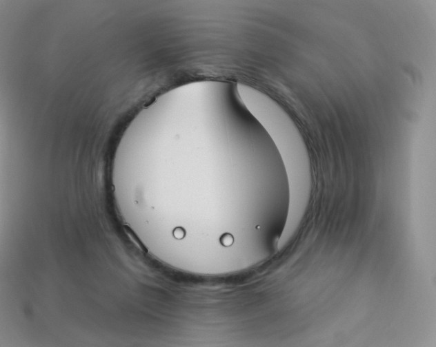 X0000113270213200910081407