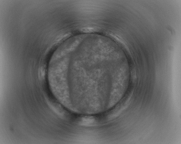 X0000113270214200910081407