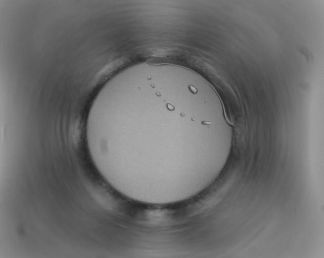 X0000113270216200910081407