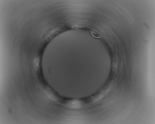 X0000113270219200910081407