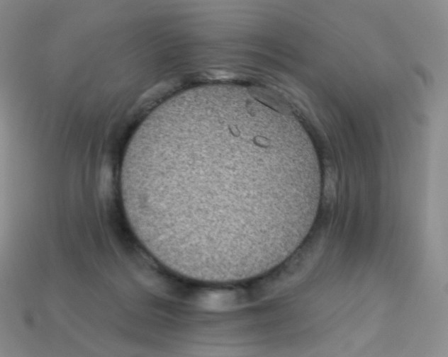 X0000113270220200910081407