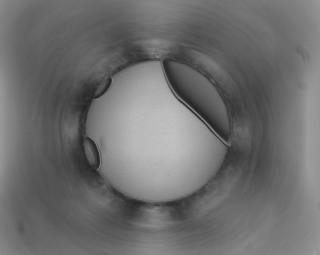 X0000113270221200910081407