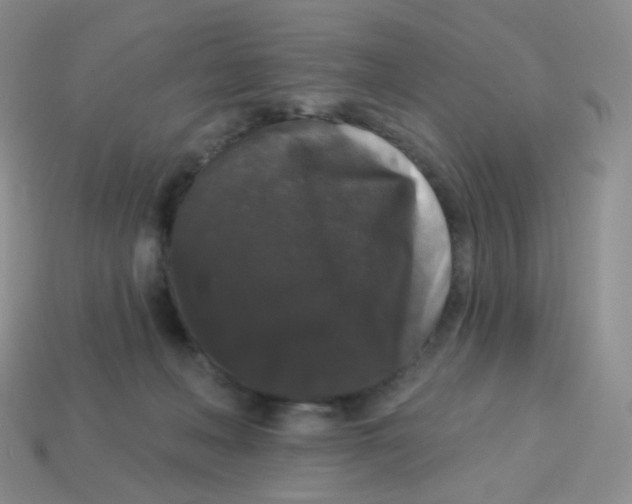 X0000113270222200910081407