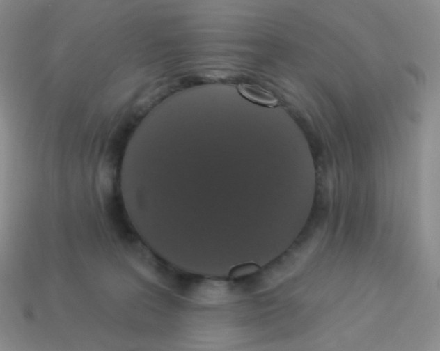 X0000113270227200910081407