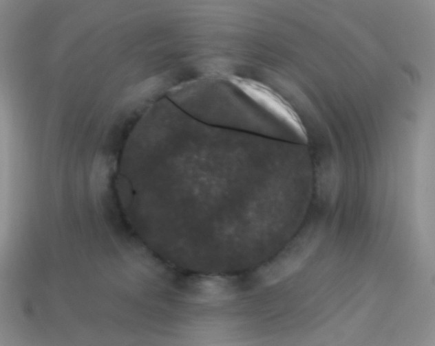 X0000113270229200910081407