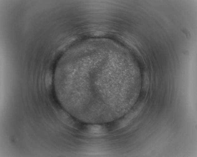 X0000113270230200910081407